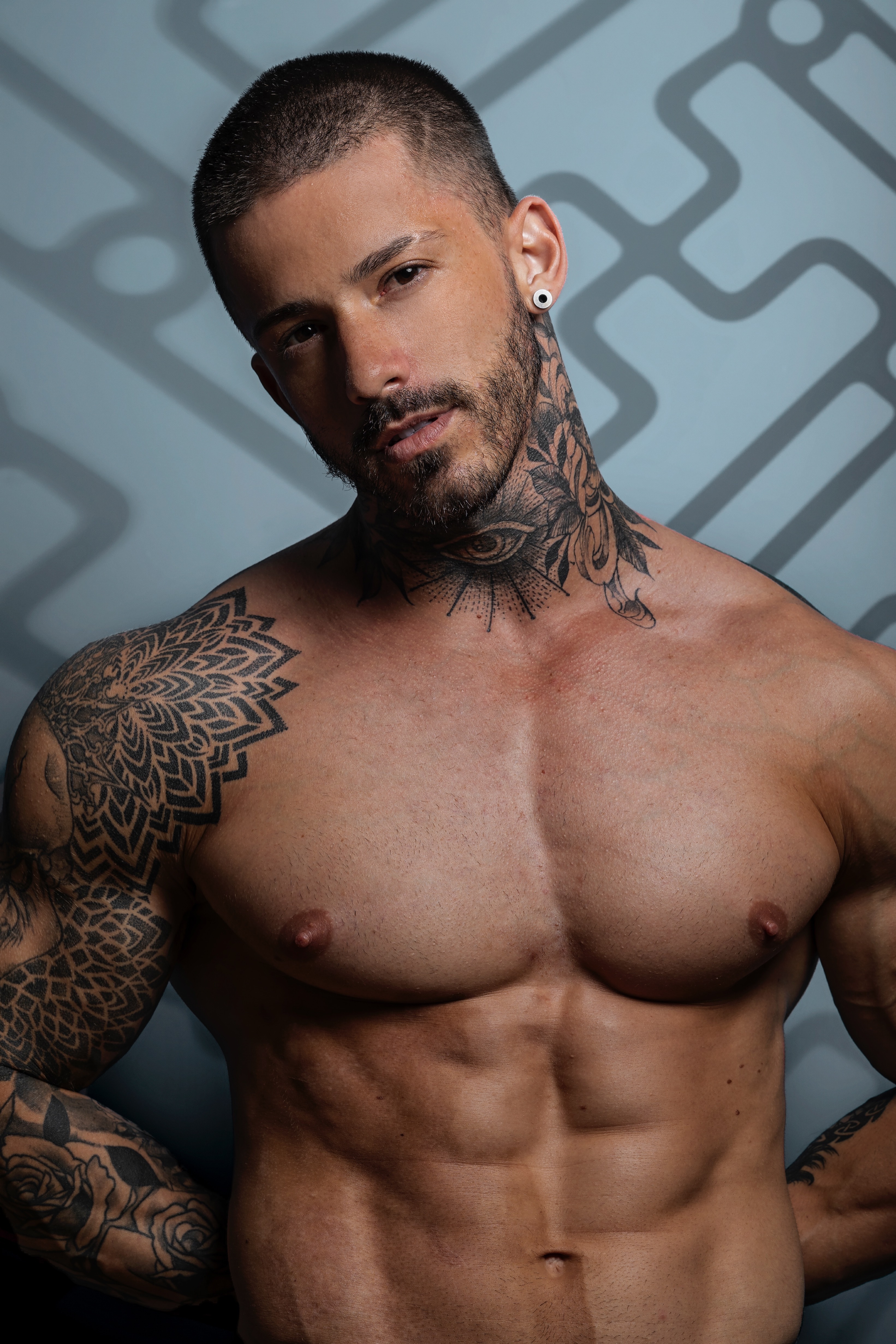 Alex Salgueiro profile image