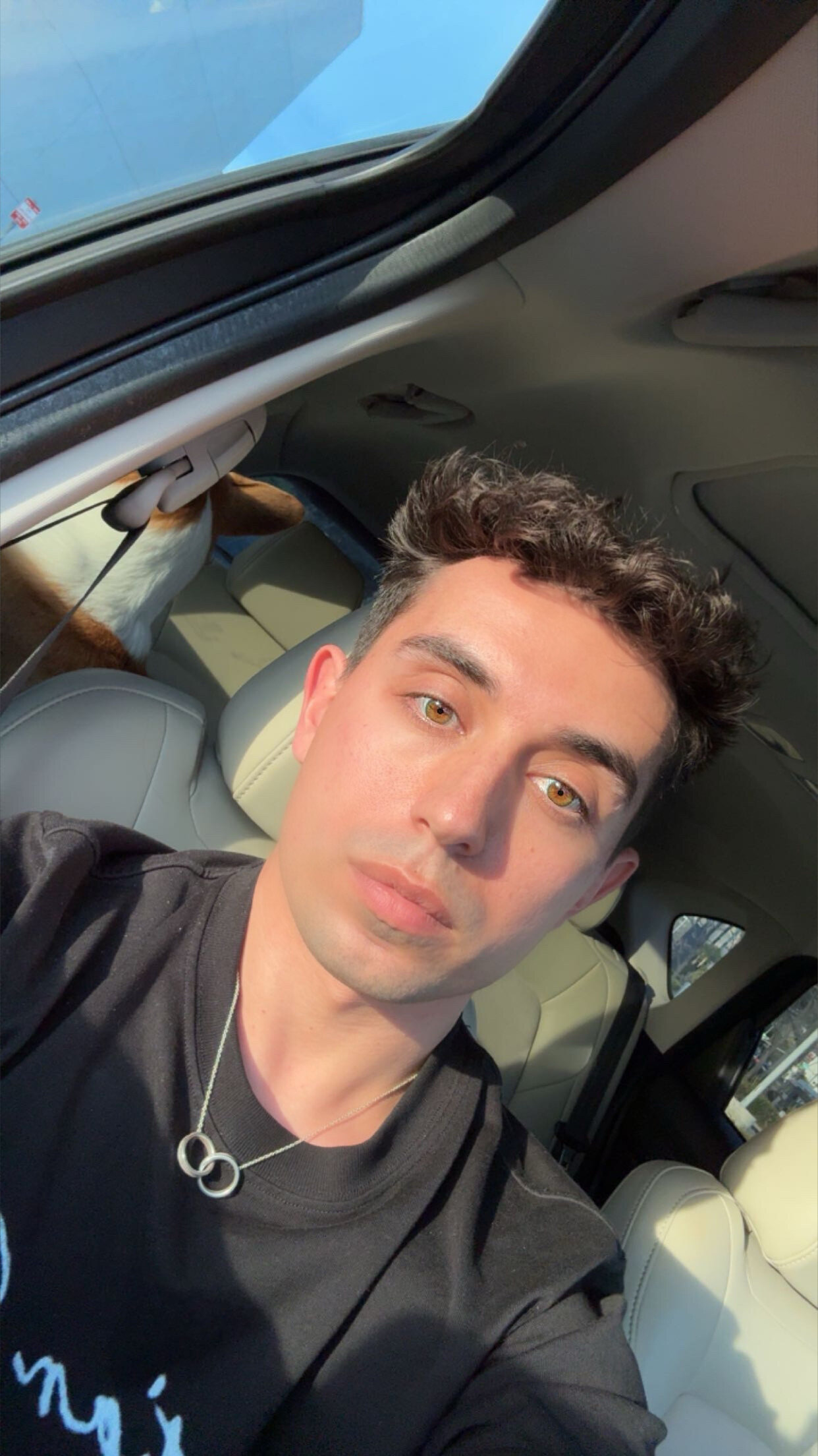 liltamp profile image