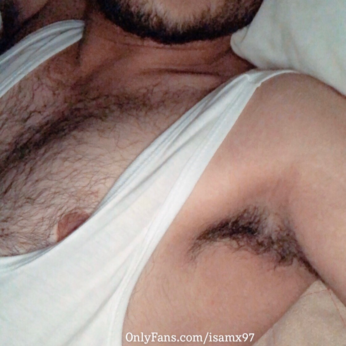 DADDY SAM 🐻 TOP 2.2 % profile image