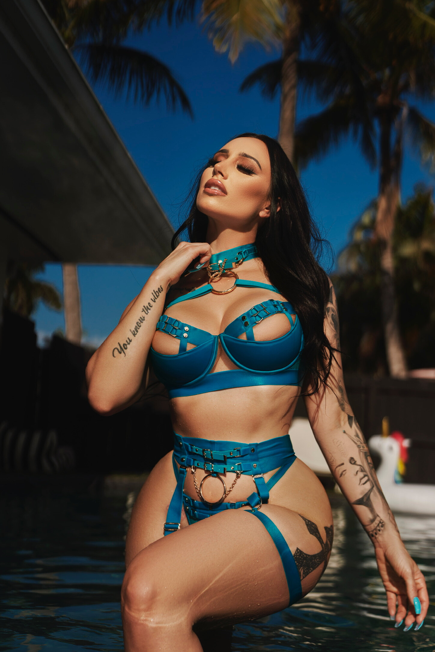 Moneybirdette AN*L ONLY profile image