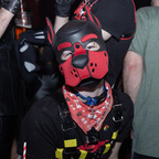 Cerberus profile image