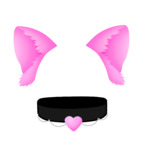 Maple profile image