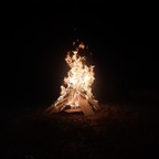 Naturalweed profile image