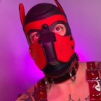 Pup in Amsterdam profile image