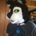 Chaz Wolf profile image