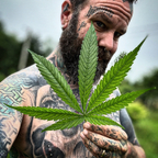 Tattooedandstoned profile image