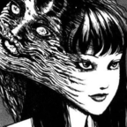 p profile image
