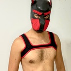 Frank Tolosa profile image