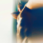 Daddy Logan Iorworth profile image
