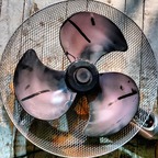 fansONLY profile image