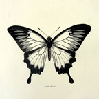 Sam carson profile image