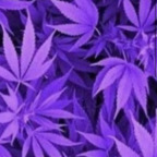AppleDragon420 profile image