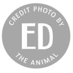 Ed The Animal profile image