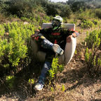 Baris profile image