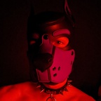 Bad Puppy profile image