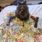 Richcat11_ profile image