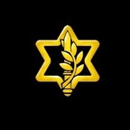 All founding goes to idf profile image
