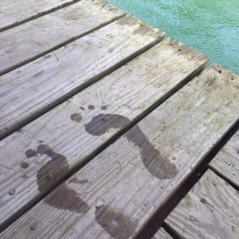 Miss Piggy's 👣 cover image