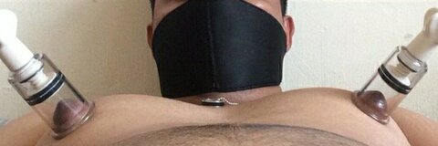 cub cover image