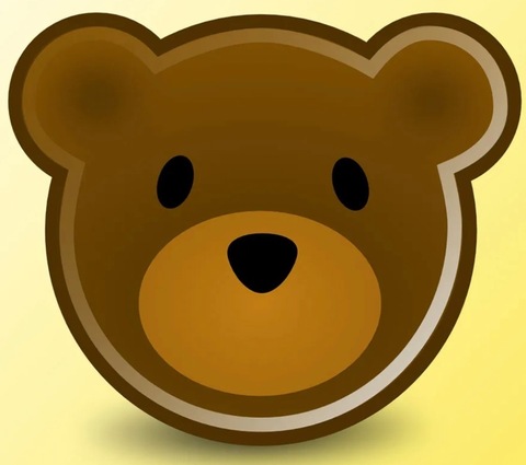 Straight Bear Soflo cover image