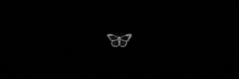 𝓕𝓪𝔂𝓮 cover image
