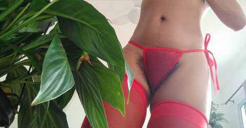 Hairy Cayenne 🐆 cover image