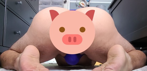 mexican pussybooty cover image