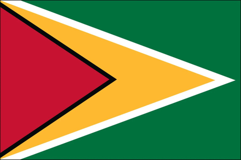 KvngGuyana cover image