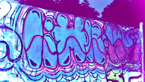 Little Lynn cover image