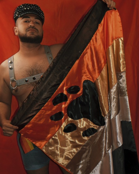 Oso Laredo cover image