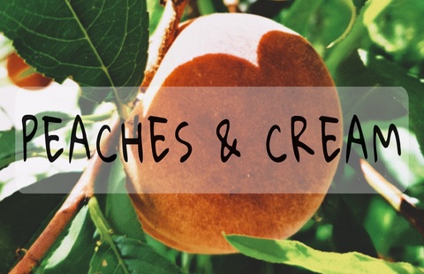 🍑Peaches &amp; Cream cover image