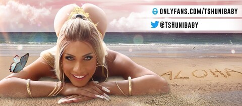 TS Hunibaby cover image