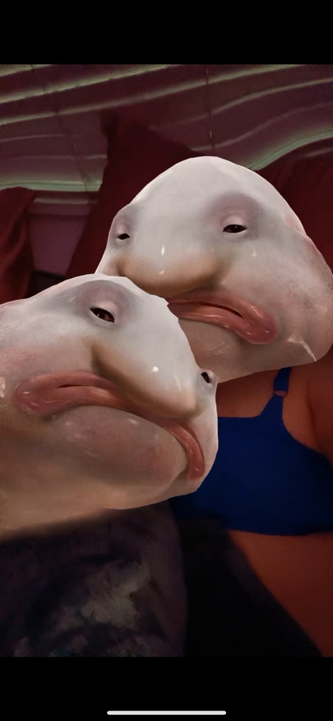 XoxoDaniV cover image