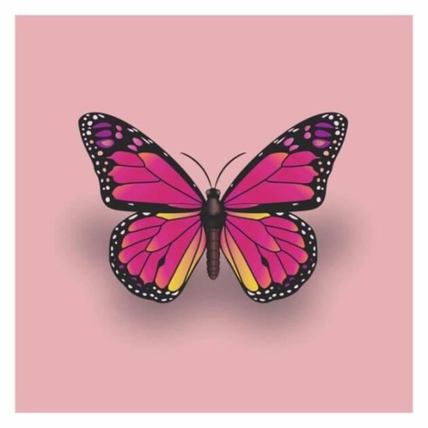 karina fnts cover image