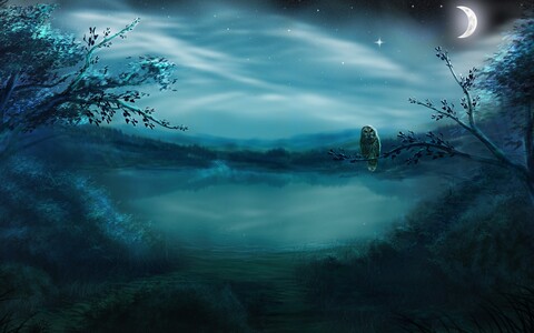 Michael cover image