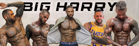 BigHarrys Free 🤪 cover image
