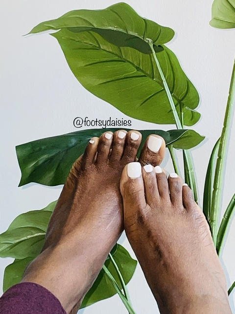 Footsy Daisies cover image