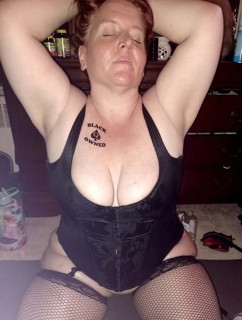 GingerSnapVA cover image