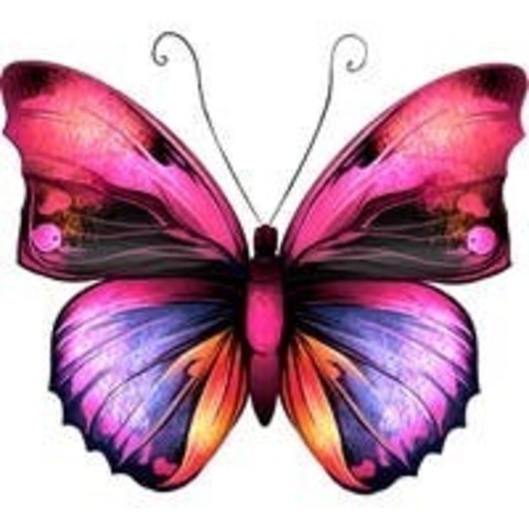 Juliette Holloway cover image