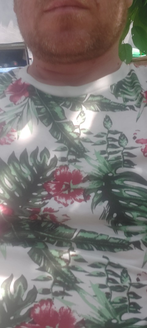 Ghepardul cover image