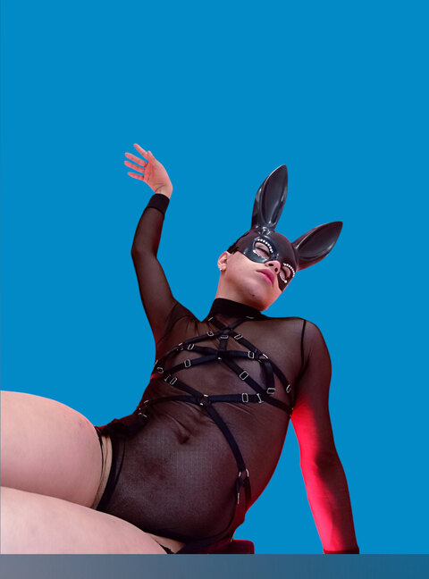 little michell cover image