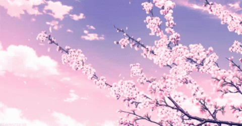 t h o m a s cover image
