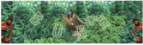 Rozzy cover image