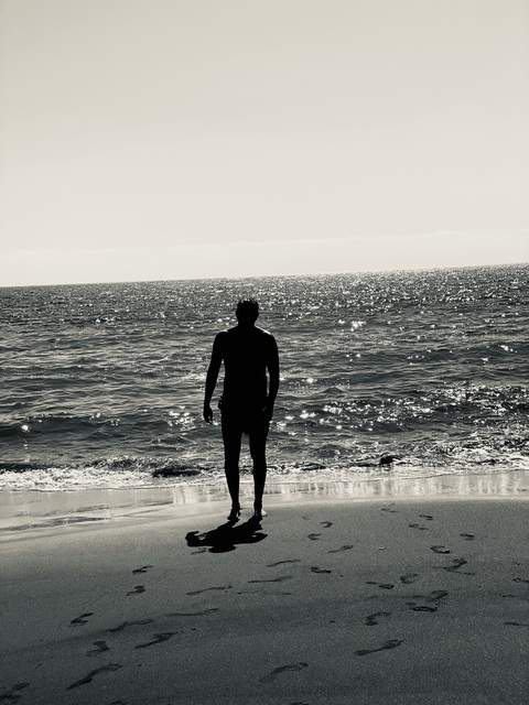 Julian el flako cover image