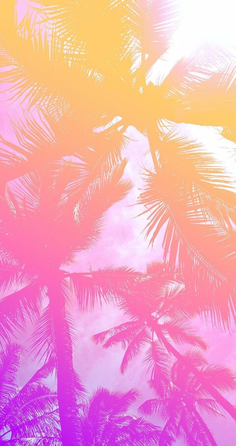 californiachick cover image