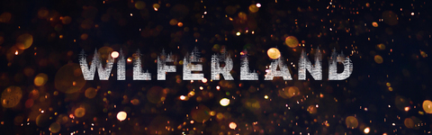 WILFERLAND cover image