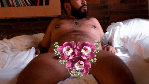 ✨Orchid Papi✨ cover image