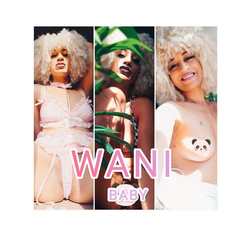 𝓛𝓪 𝔀𝓪𝓷𝓸𝓾𝓲𝓵𝓵𝓮 cover image