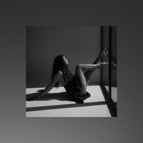 Lady Free the Boobs VIP cover image