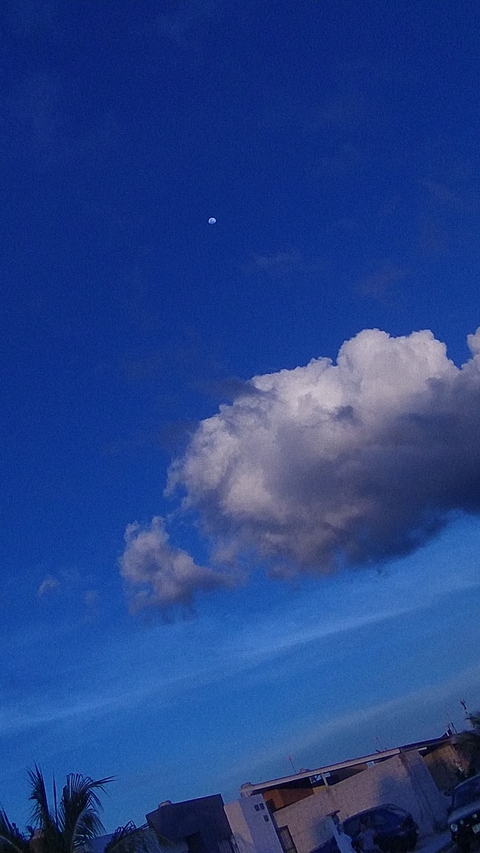 Blue Sky cover image
